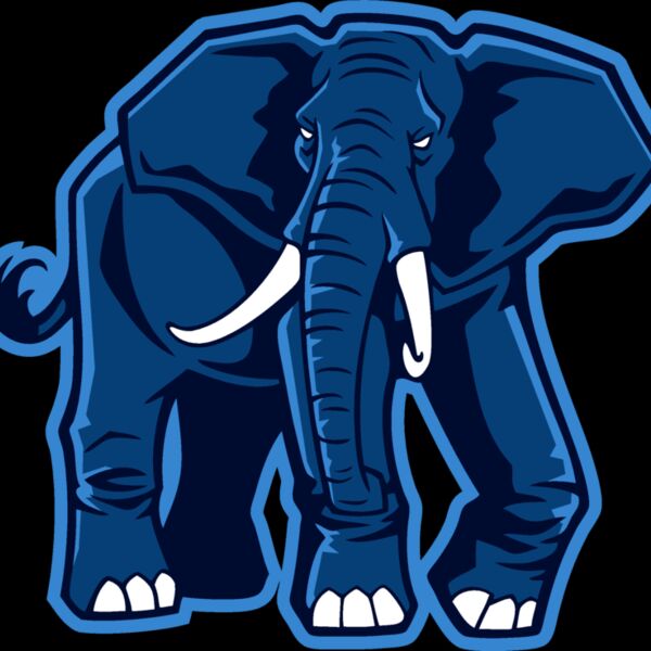 elephantjk6 Thumbnail