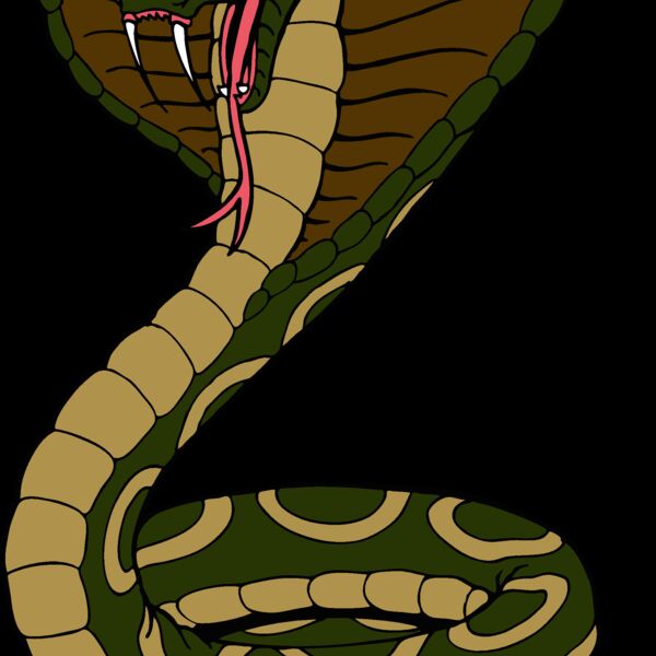 cobrasnk01 Thumbnail