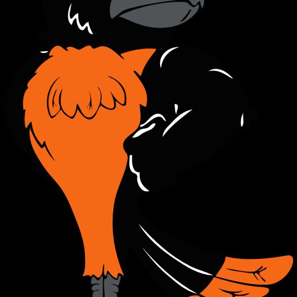 oriolemsct02 Thumbnail