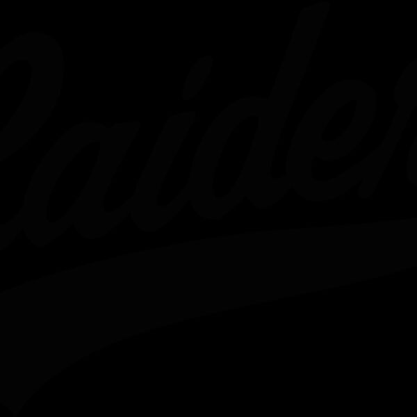 raidrlogo3 Thumbnail