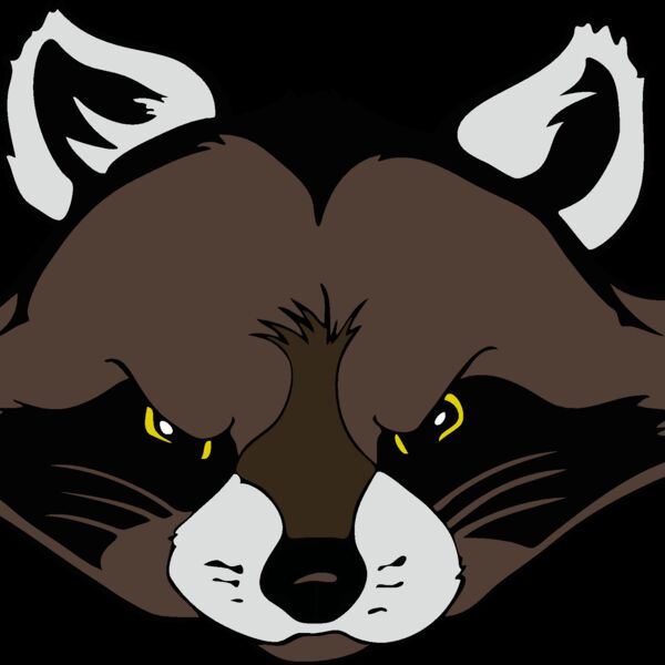 raccoonhead01 Thumbnail