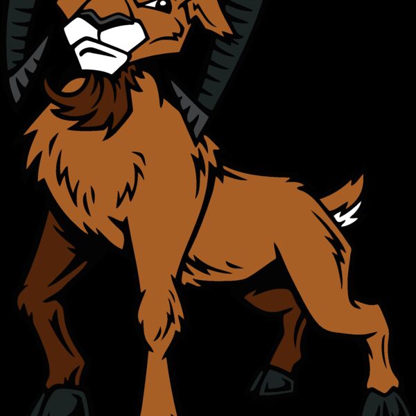 ram04v4clr Thumbnail