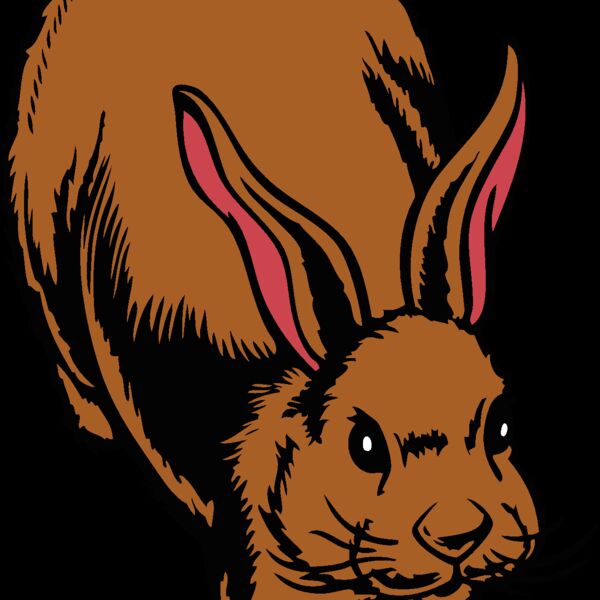 rabbit03v4clr Thumbnail