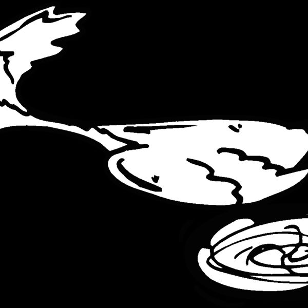 roadrunner3 Thumbnail