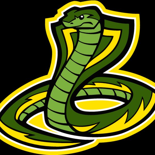 cbrasnkjk07 Thumbnail