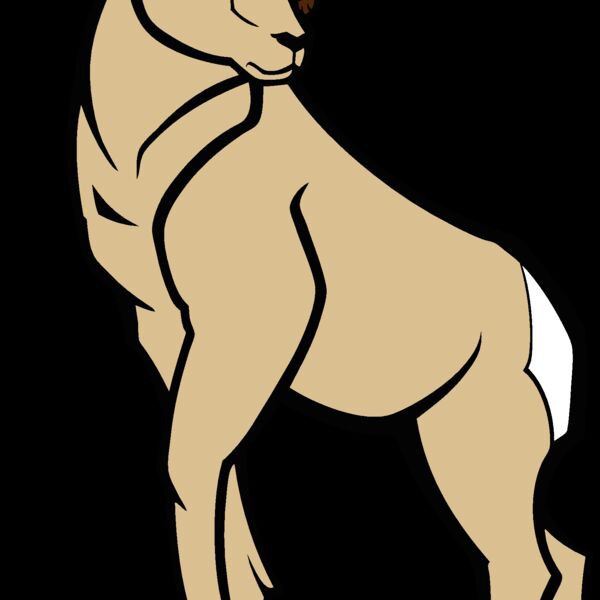 ram02v4clr Thumbnail