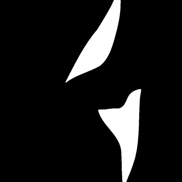 killerwhale04 Thumbnail