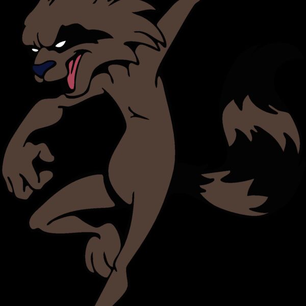 raccoonmsct05 Thumbnail