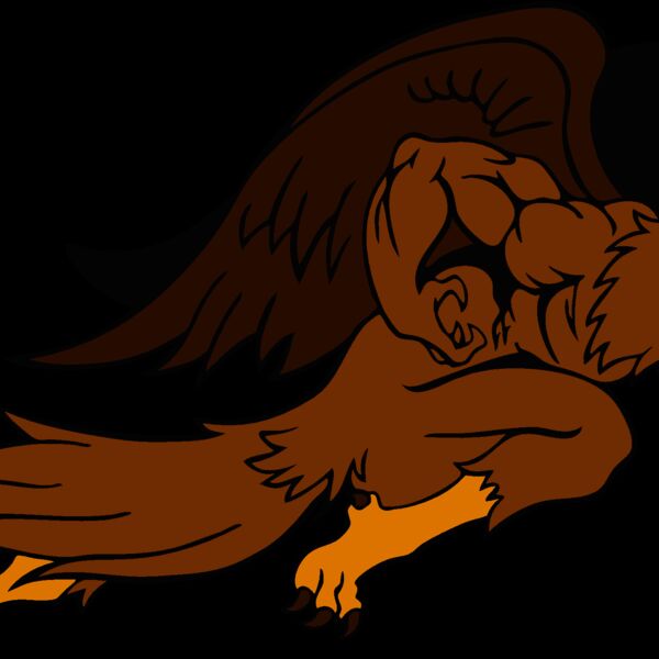 hawkmsct14 Thumbnail