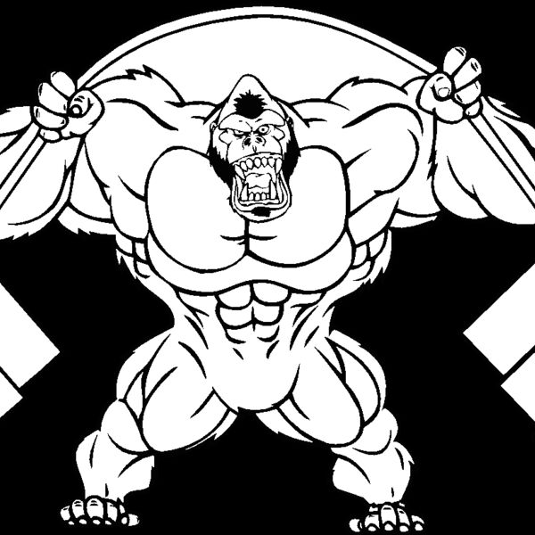 gorillaweights Thumbnail