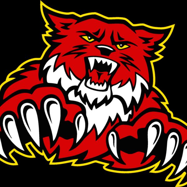 wildctjk09 Thumbnail