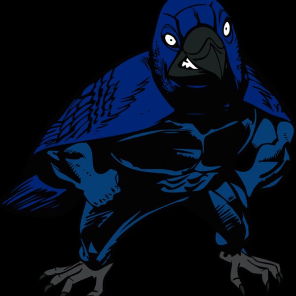 cardinalbluejay Thumbnail