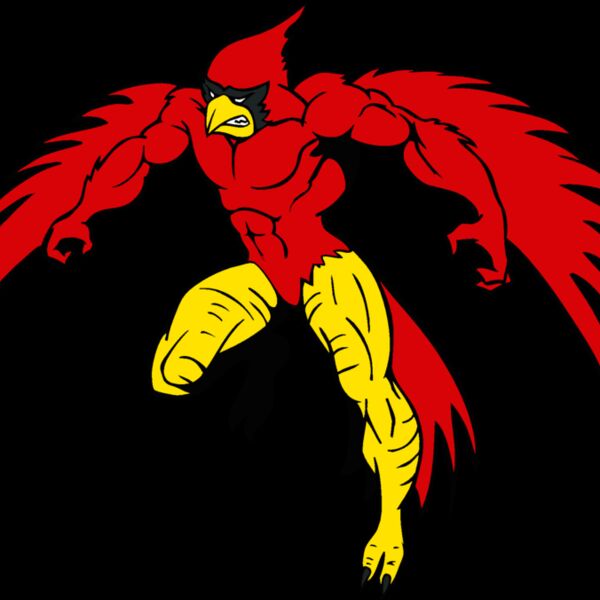 cardinalmn3 Thumbnail