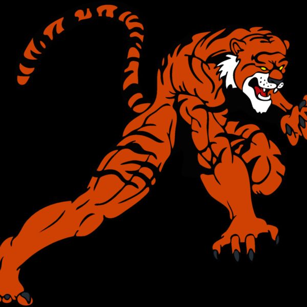 tigermsct 4 Thumbnail