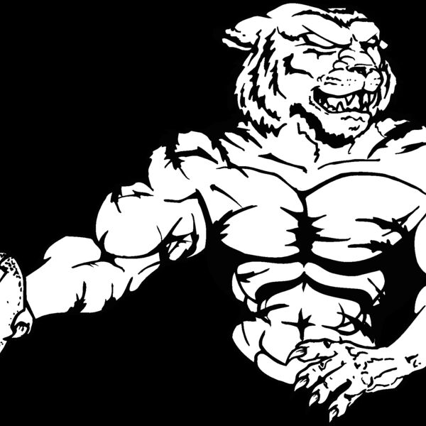 tigerftbl1 Thumbnail