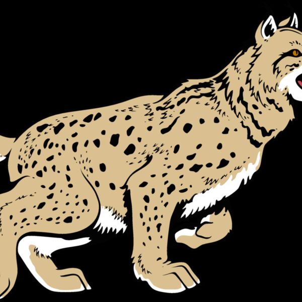 wildcat13v4clr Thumbnail