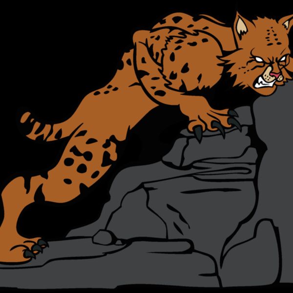 wildcatbc5 Thumbnail