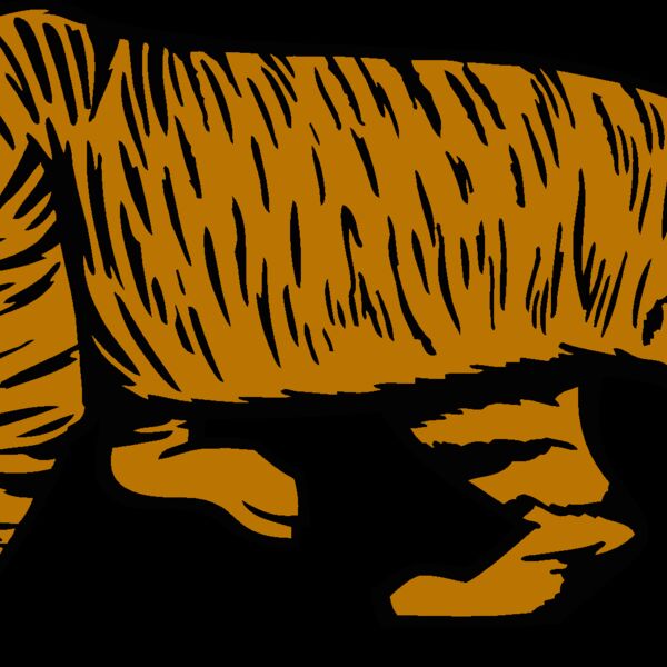 wildcat14v4clr Thumbnail