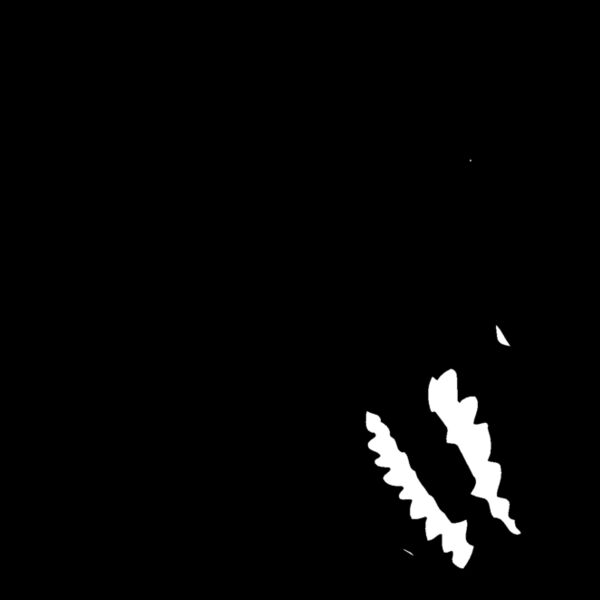 wfahd08  2  Thumbnail