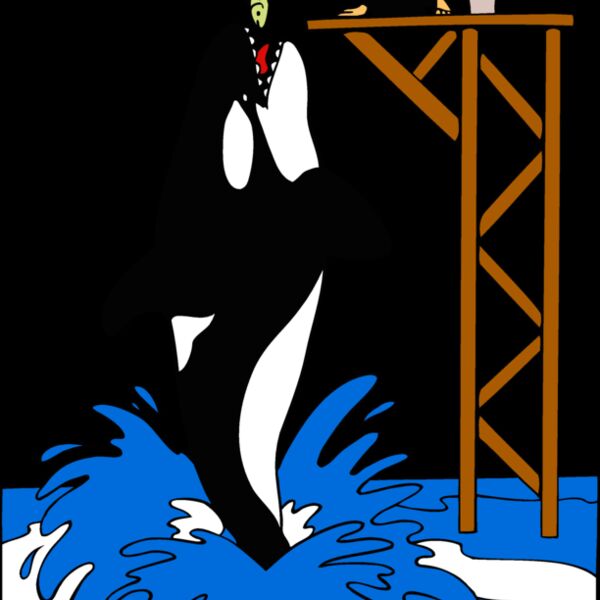 killerwhale05 Thumbnail