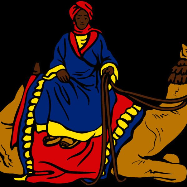 camel driver Thumbnail