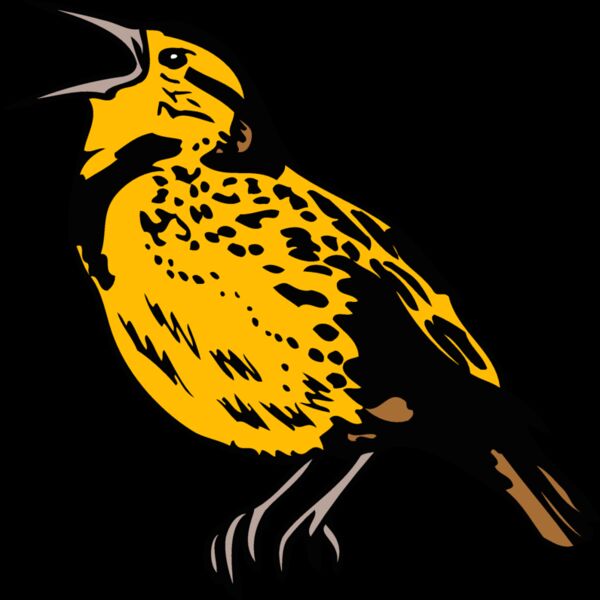 kansasmeadowlark1 Thumbnail