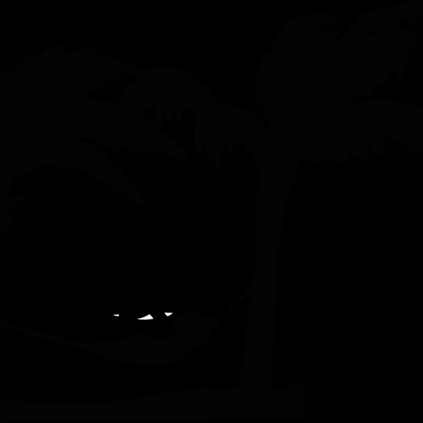 hammock palmtrees Thumbnail