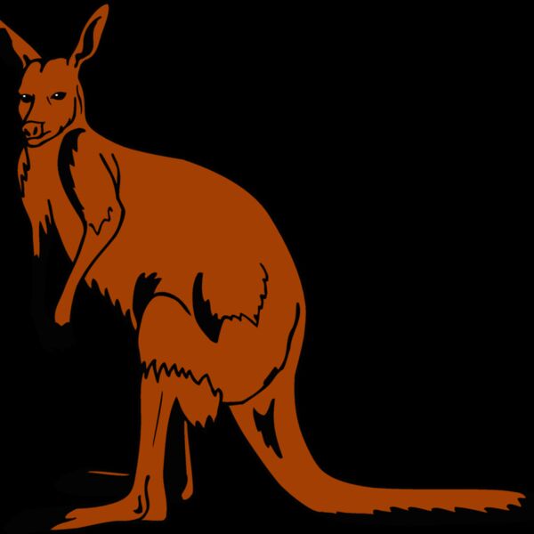 kangaroo1 Thumbnail