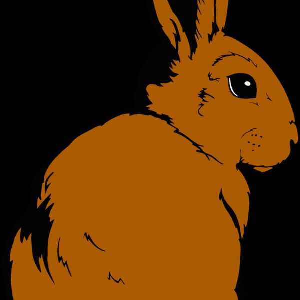 cottontail Thumbnail