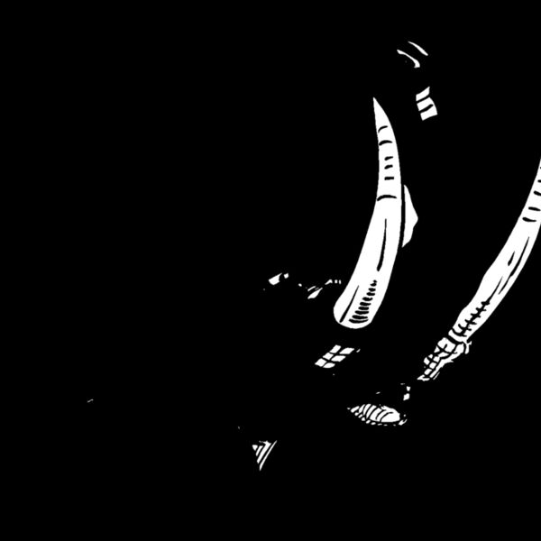 elephanthead01 Thumbnail