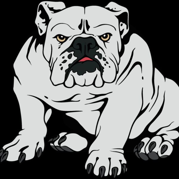 bulldog15v4clr Thumbnail