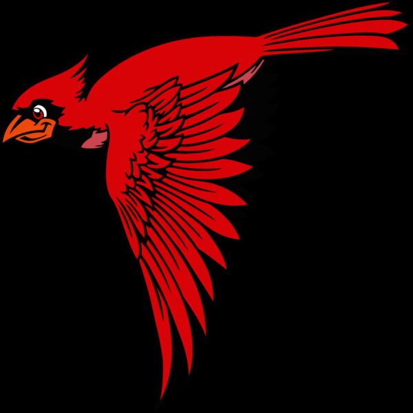 cardinal02v4clr Thumbnail