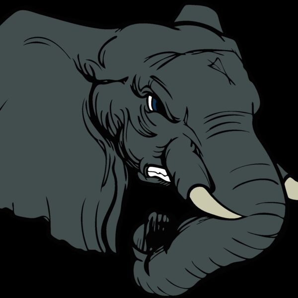 elephanthead02 Thumbnail