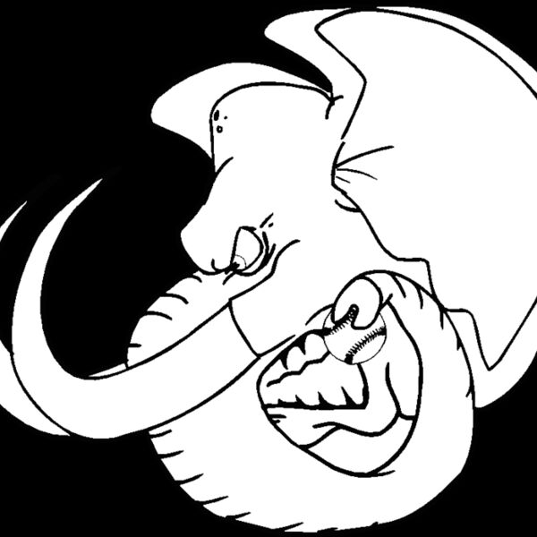 elephanthead03 Thumbnail