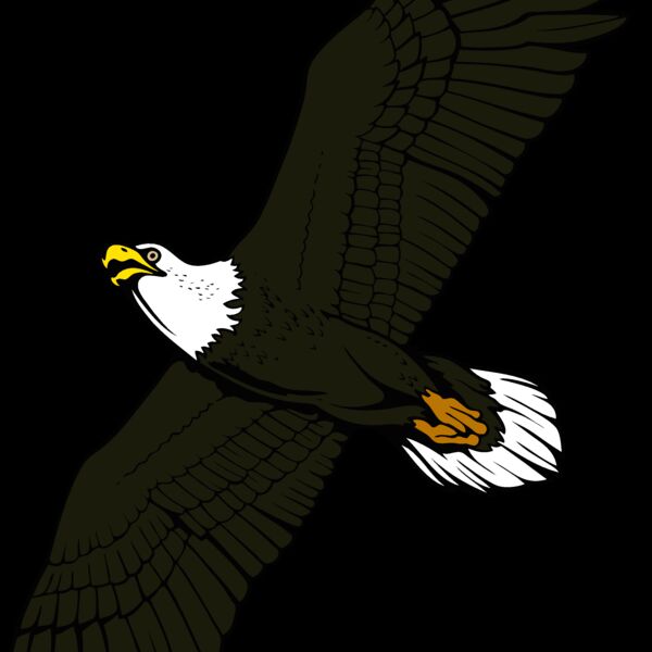 eagle17v4clr Thumbnail