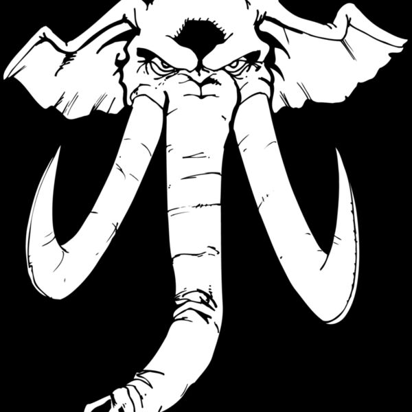 elephanthead04 Thumbnail