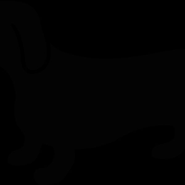 weinerdog dachshund Thumbnail