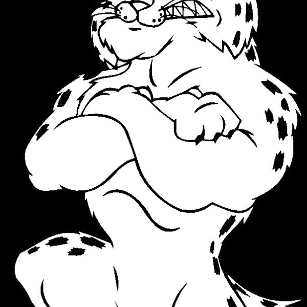 bobcatbskblbns Thumbnail