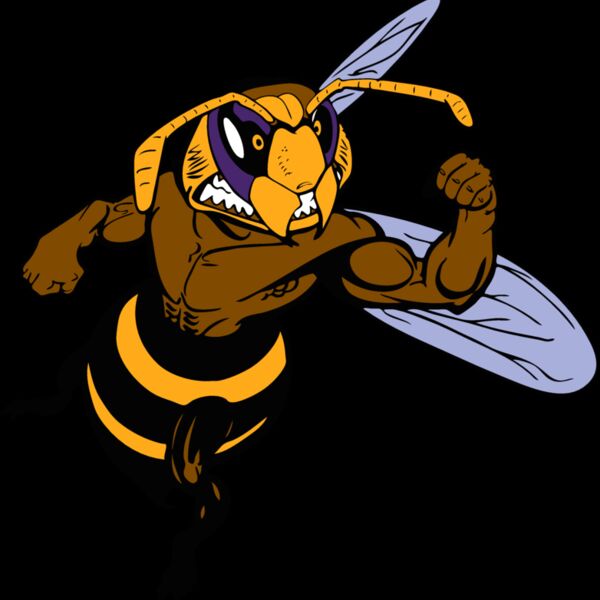 waspmsct02 Thumbnail