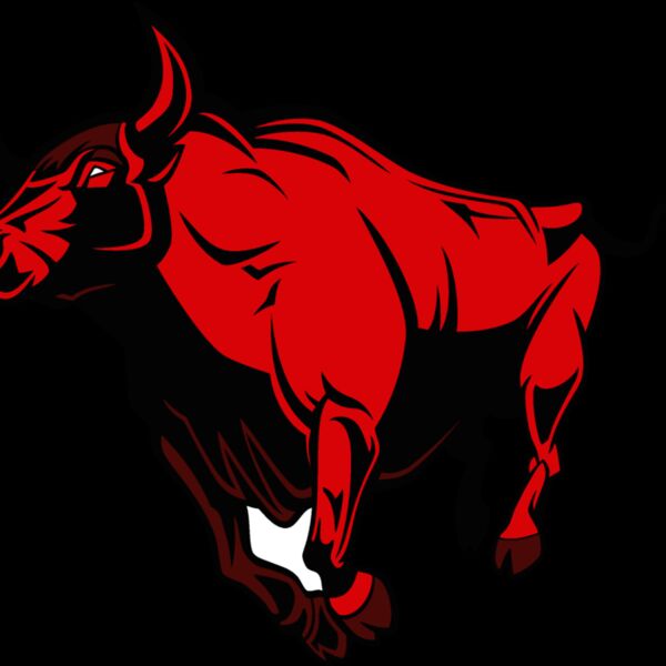 bull04v4clr Thumbnail