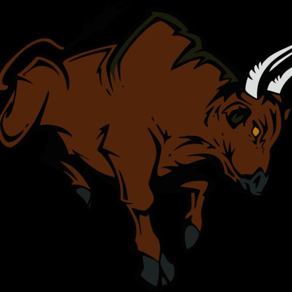 bull08v4clr Thumbnail