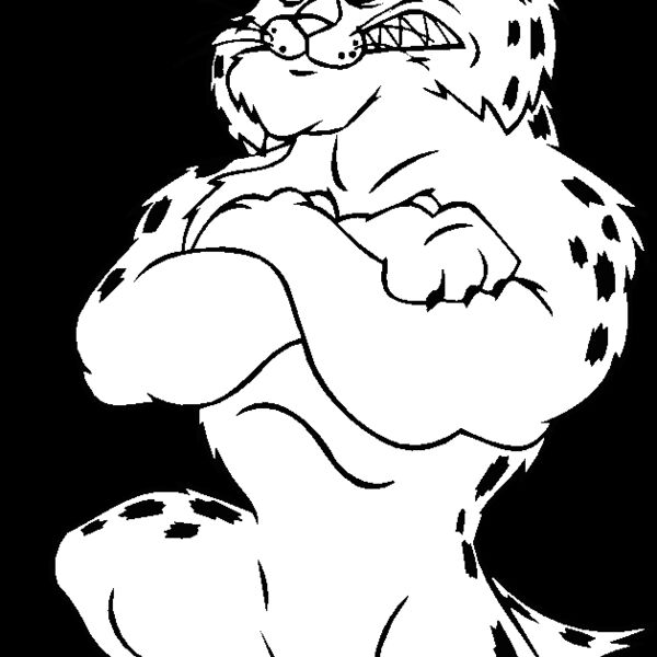 bobcatrgbybns Thumbnail