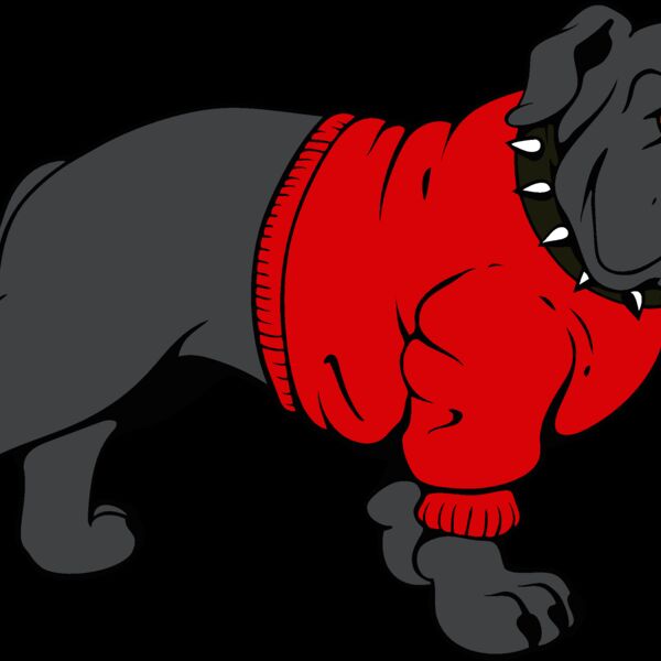 bulldog17v4clr Thumbnail