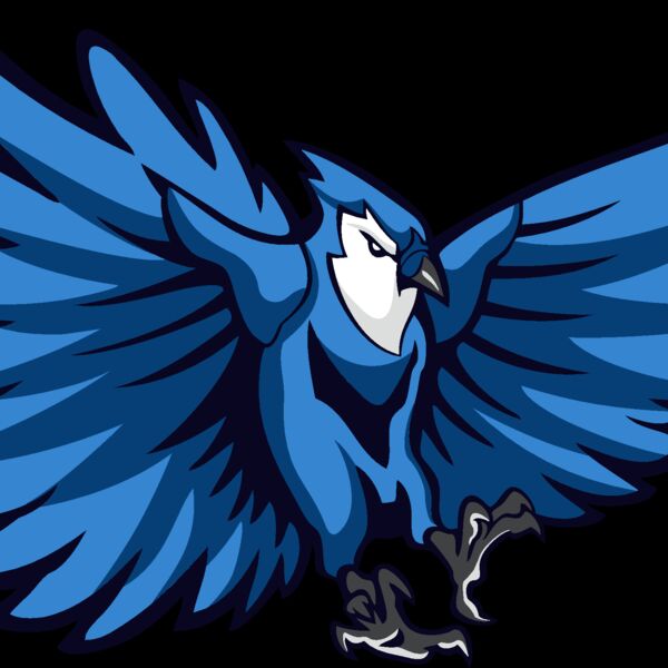 bluejay6 Thumbnail