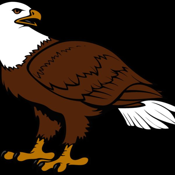 eagle18v4clr Thumbnail