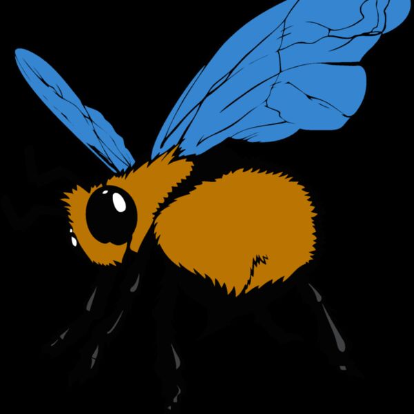 bee05v4clr Thumbnail