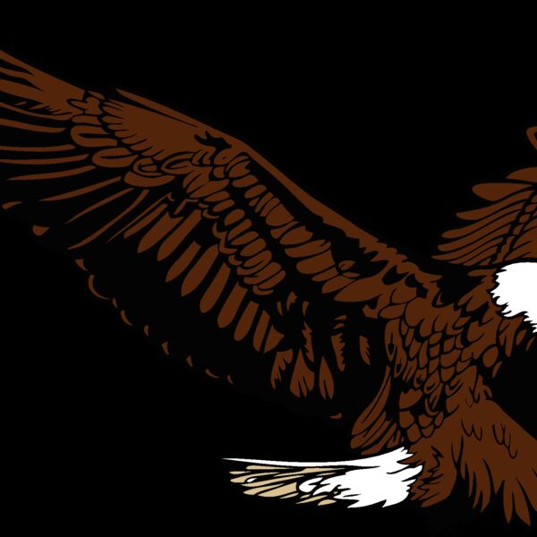 eagle15v4clr Thumbnail