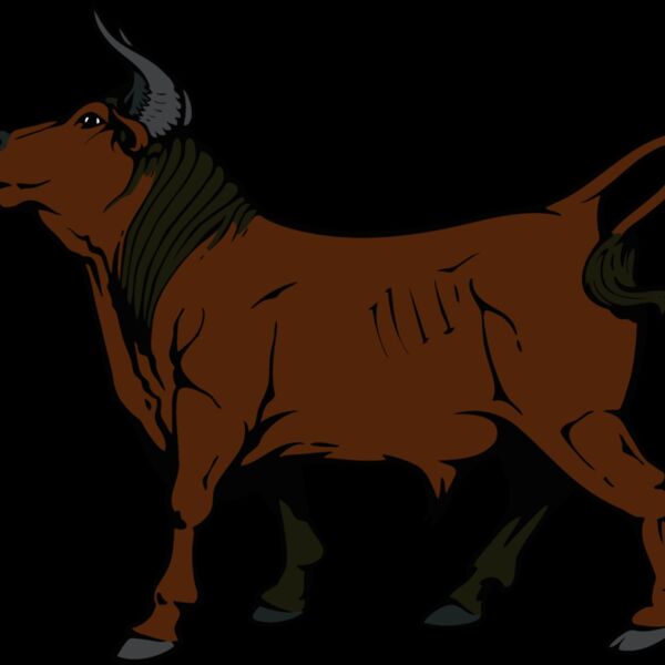 bull10v4clr Thumbnail