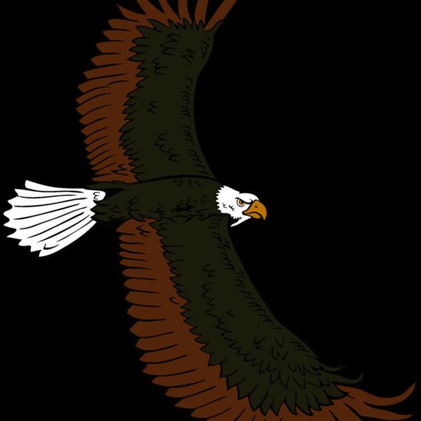 eagle05v4clr Thumbnail