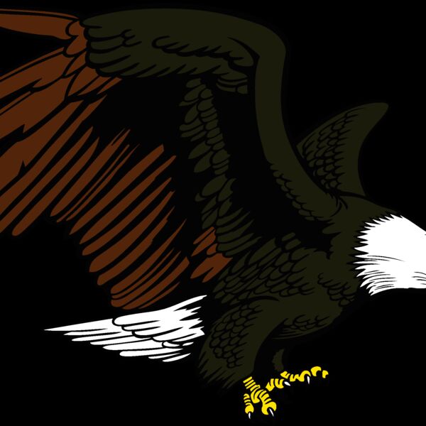 eagle12v4clr Thumbnail